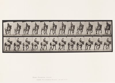 Trotting; Bareback; Dark-Gray Dusel (Plate 599) by Eadweard Muybridge