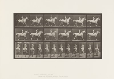 Trotting; Bareback; Rider, Nude; Light-Gray Horse (Plate 602) by Eadweard Muybridge