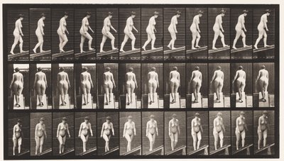 Ascending Incline by Eadweard Muybridge
