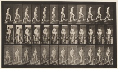 Plate 81. Ascending Incline by Eadweard Muybridge