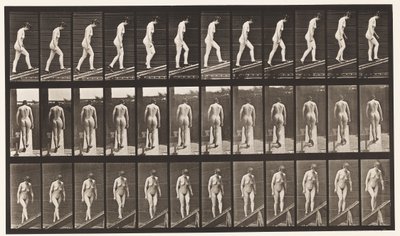 Ascending Incline by Eadweard Muybridge