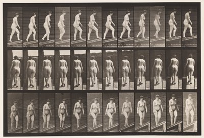 Ascending Incline by Eadweard Muybridge