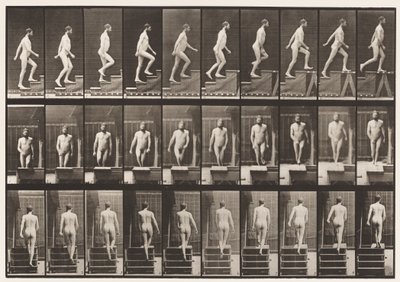Plate 90. Ascending Stairs by Eadweard Muybridge