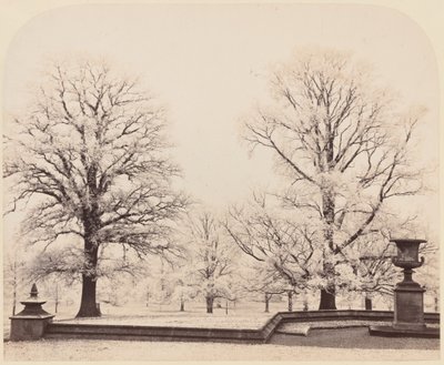 Hoarfrost, a Park Scene by Earl of Caithness