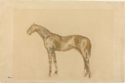 Horse by Edgar Degas