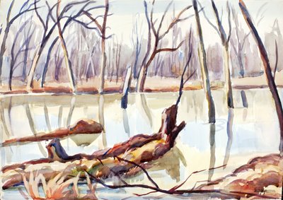 Rock Creek, Winter by Edgar Nye