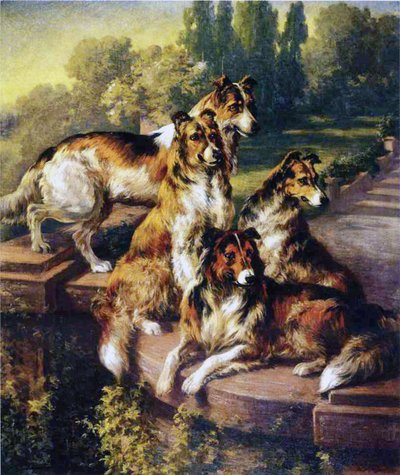 Collies by Edmund Henry Osthaus