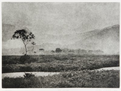 Oze Mist by Edouard Cremieux
