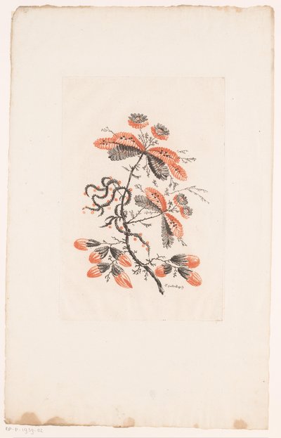 Flowers and Buds by Edouard Gautier Dagoty
