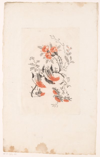 Various Fantasy Flowers (series title) by Edouard Gautier Dagoty