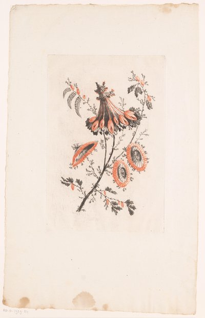 Umbrella-shaped Flowers by Edouard Gautier Dagoty