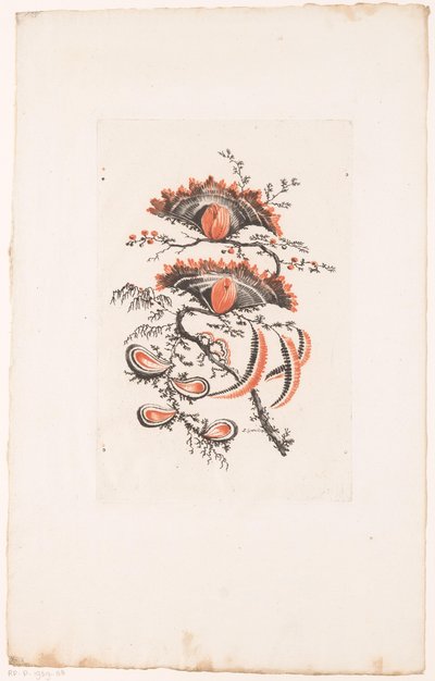 Fan-shaped Flowers (series title) by Edouard Gautier Dagoty