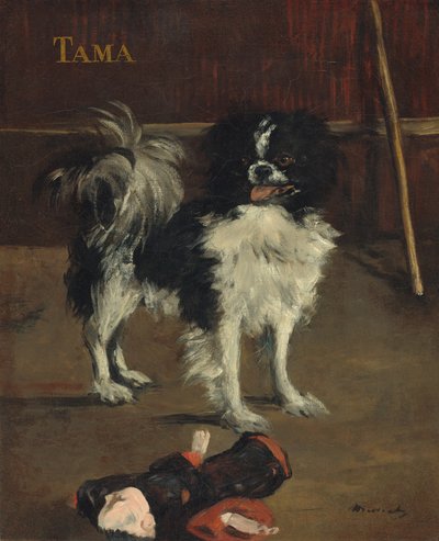 Tama, the Japanese Dog, c. 1875 by Édouard Manet