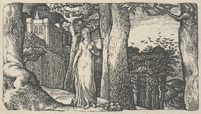 Lady with the Rooks by Edward Calvert