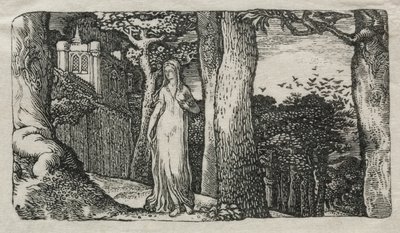 The Lady and the Rooks by Edward Calvert