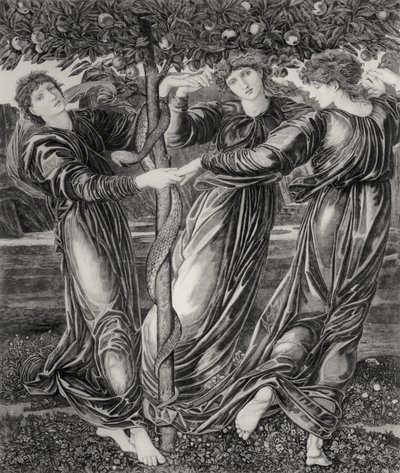 The Garden of Hesperides by Edward Coley (after) Burne Jones