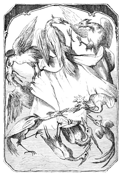 The Donkey Cabbages, 1901 by Edward Henry Wehnert