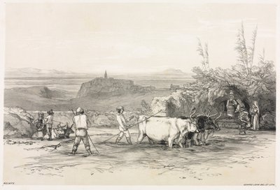Roiate by Edward Lear