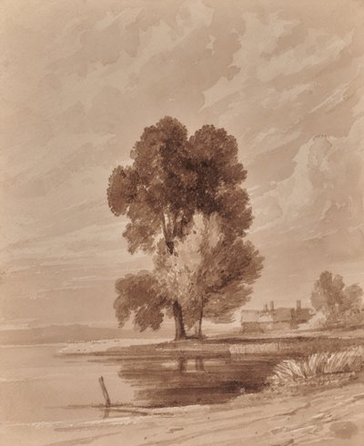 Landscape with trees by Edward Pretty