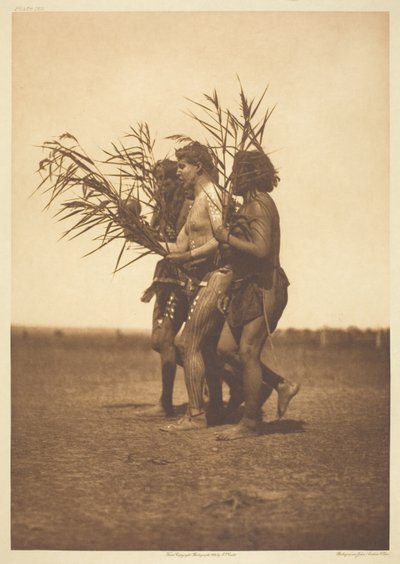 Arikara Medicine Ceremony - the Ducks by Edward S. Curtis