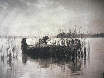 The Rush Gatherer, Montana by Edward Sheriff Curtis