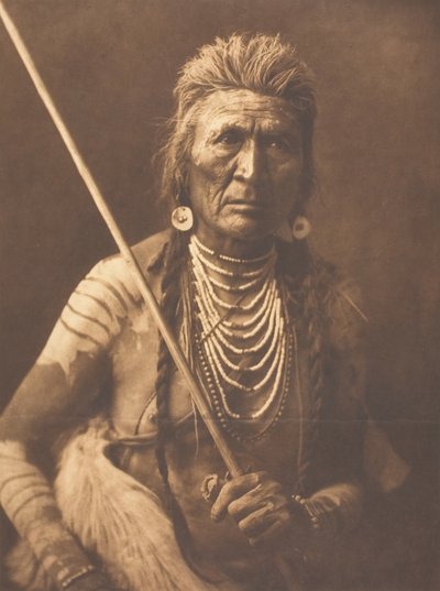 Wolf - Apsaroke by Edward Sheriff Curtis