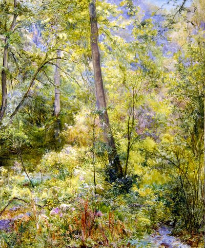Dappled Sunlight, Sheepscombe Woods by Edward Steel Harper