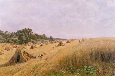 Cornfield Harvest by Edward Wilkins Waite