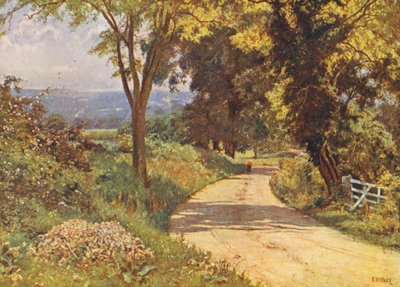 My road by Edward Wilkins Waite