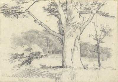 Near Lyndhurst, August 1871 by Edwin Austin Abbey