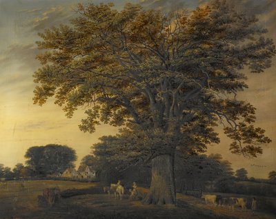 The Binley Oak, 1848 by Edwin Brown