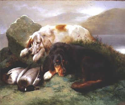 English and Gordon Setters with Mallard by Edwin Douglas