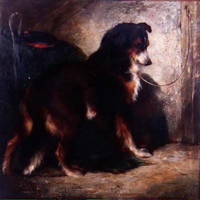 The Shepherd