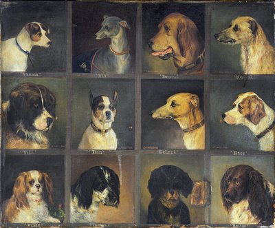 Twelve Favourite Dogs, 1883 by Edwin Frederick Holt