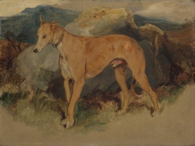 A Deerhound by Edwin Landseer