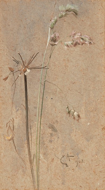 Cocksfoot Grass by Edwin John Alexander