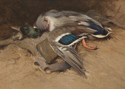 Mallard