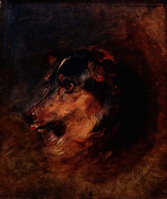 A Head Study of a Collie Dog by Edwin Landseer