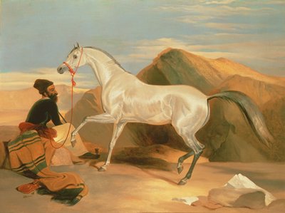 Arab Stallion by Edwin Landseer