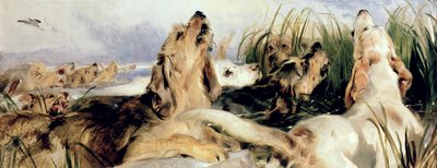 Otter Hounds by Edwin Landseer
