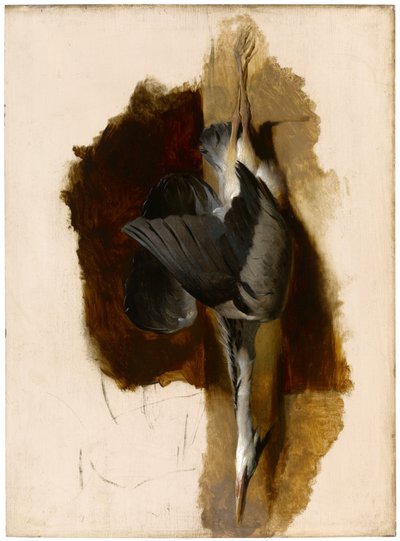 Study of a Dead Heron by Edwin Landseer