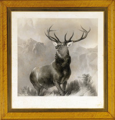 The Monarch of the Glen, 1852 by Edwin Landseer