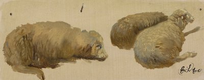Three Sheep at Rest by Edwin Landseer