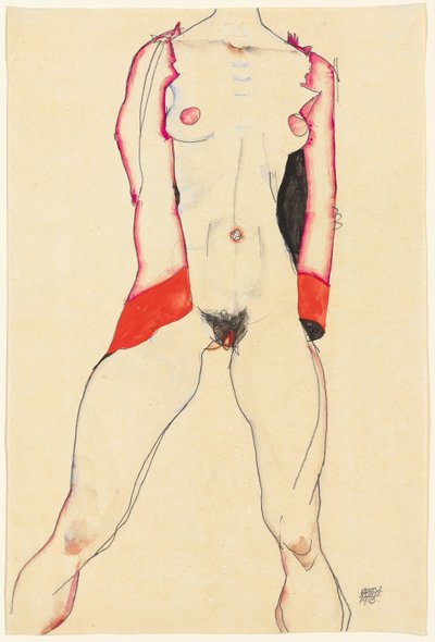 Female Torso by Egon Schiele
