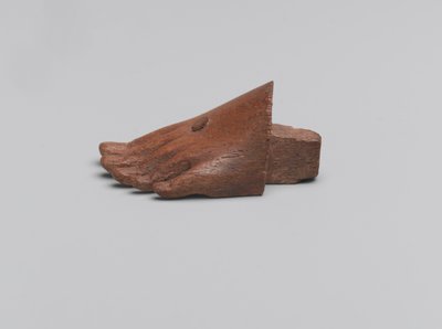 Front part of a left foot by Egyptian