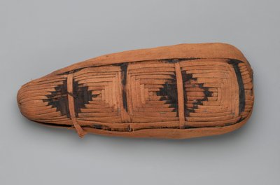 Mummy of an Ibis by Egyptian