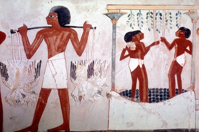 Unknown Image by Egyptian 18th Dynasty