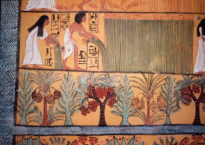A Harvest Scene by Egyptian Egyptian