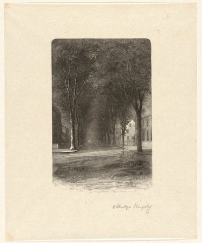 Untitled [Tree-Lined Street] by Elbridge Kingsley