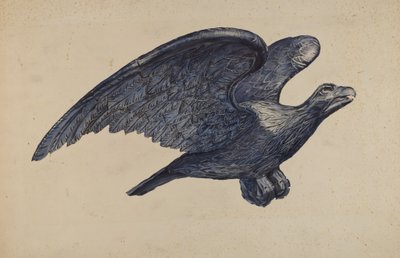 Eagle by Elisabeth Fulda
